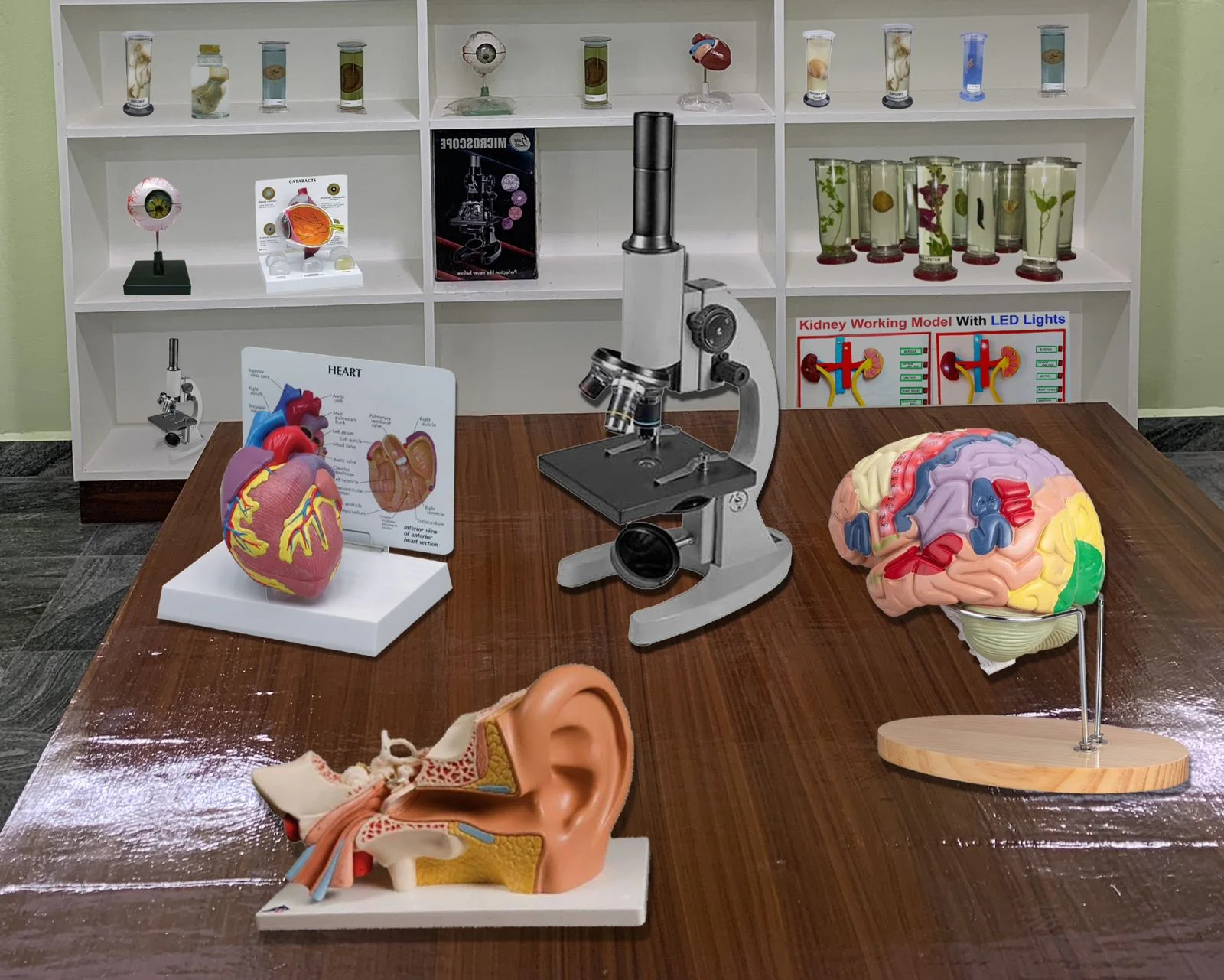 Science Lab - Image 2